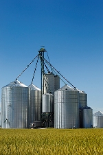 Grain Silos